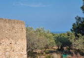 Detached villa with land for sale on España, l'Ametlla de Mar, ref: TR398793 photo