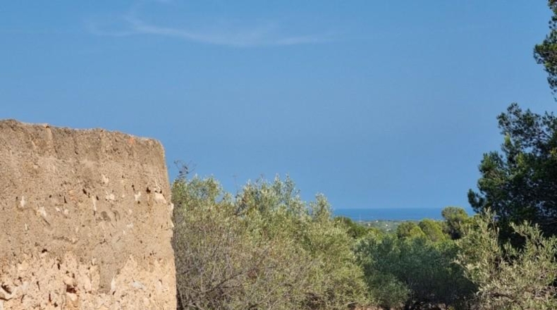 Tarragona - l'Ametlla de Mar - 17164m2
