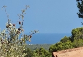 Detached villa with land for sale on España, l'Ametlla de Mar, ref: TR398793 photo