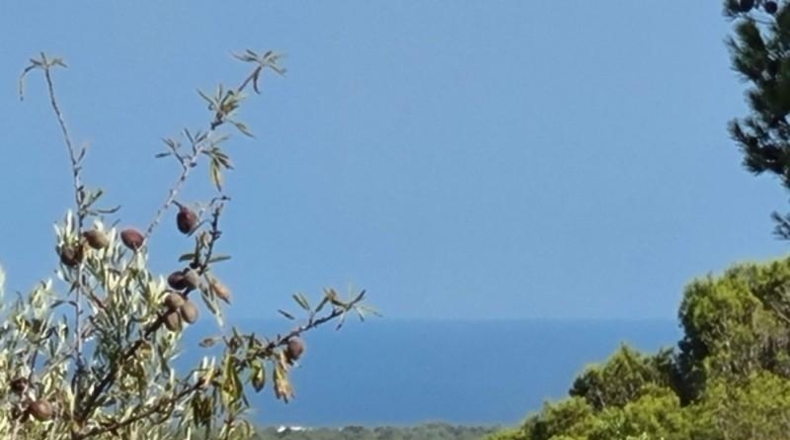 Tarragona - l'Ametlla de Mar - 17164m2
