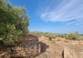 Detached villa with land for sale on España, l'Ametlla de Mar, ref: TR398793 photo