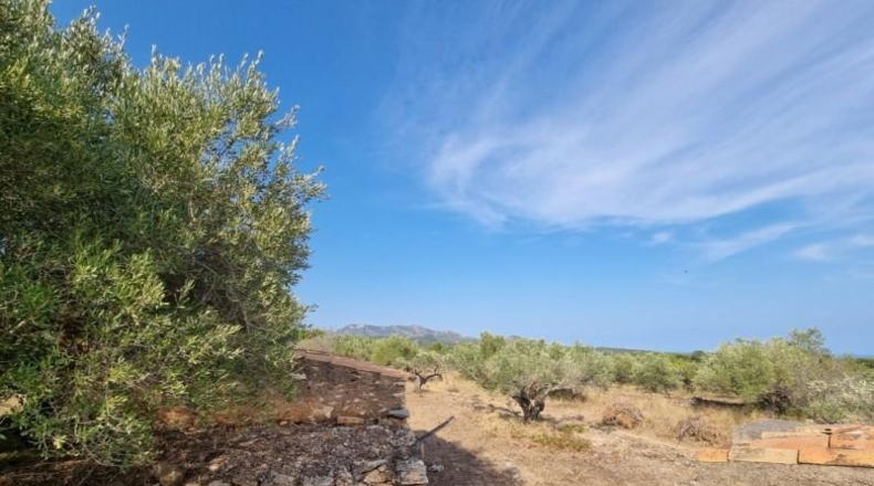 Tarragona - l'Ametlla de Mar - 17164m2