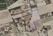Terreny no urbanitzable en venda a la España, Elx, ref.: TR388046 foto