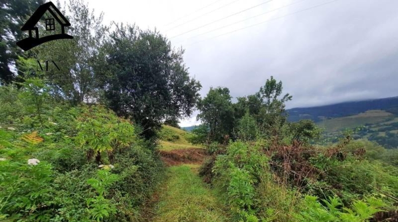 Cantàbria - Ontaneda - 6727m2