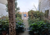 Chalet independiente con terreno en venta en la España, Alberite de San Juan, ref: TR399094 foto