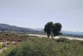 Montfort 32000&nbsp;m² 