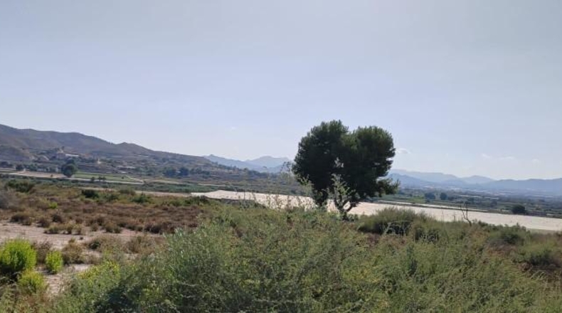 Alicante - Монфорте-дель-Сид - 32000m2