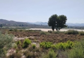 Terreny no urbanitzable en venda a la España, Montfort, ref.: TR394781 foto