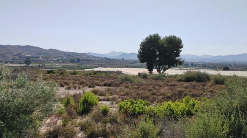 Alicante - Монфорте-дель-Сид - 32000m2