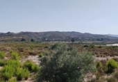 Terreny no urbanitzable en venda a la España, Montfort, ref.: TR394781 foto