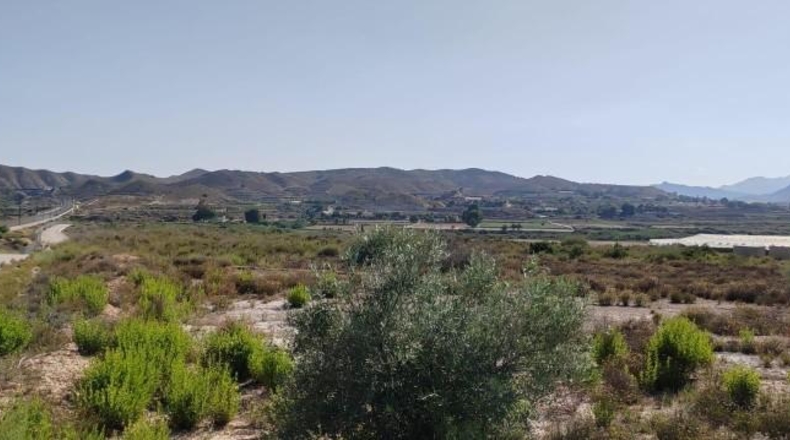 Alicante - Монфорте-дель-Сид - 32000m2