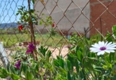 Suelo urbano en venta en la España, Murcia, ref: TR394241 foto