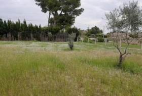 el Rebolledo 4000&nbsp;м²