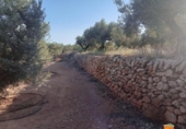 Xalet independent amb terreny en venda a la España, Freginals, ref.: TR399374 foto