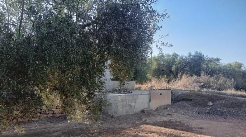 Tarragona - Freginals - 8466m2