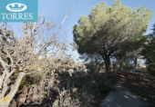 Non-developable land for sale on España, Villa de Otura, ref: TR397862 photo