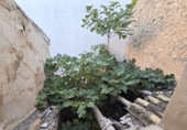 Casa de poble en venda a la España, Asp, ref.: TR399788 foto