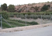 Land with storage building for sale on España, Cehegín, ref: TR399287 photo