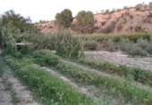 Land with storage building for sale on España, Cehegín, ref: TR399287 photo
