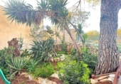 Casa de campo con terreno en venta en la España, Amposta, ref: TR398927 foto
