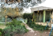 Casa de campo con terreno en venta en la España, Amposta, ref: TR398927 foto