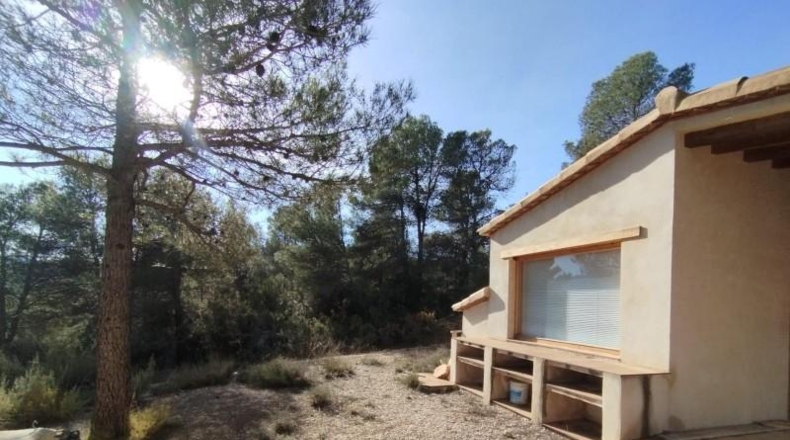 Teruel - Arens de Lledó - 13236m2