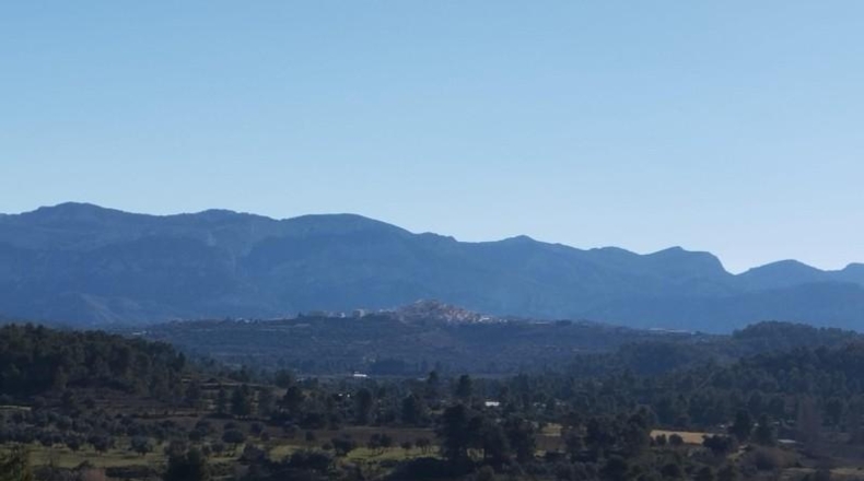 Teruel - Arens de Lledó - 13236m2
