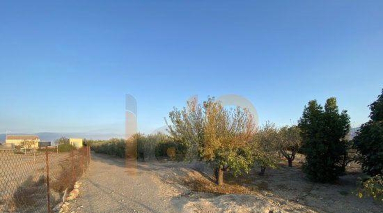 Almería - Альбох - 5900m2