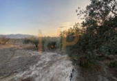 Land suitable for development for sale on España, Huércal-Overa, ref: TR395103 photo