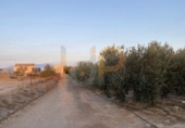Land suitable for development for sale on España, Huércal-Overa, ref: TR395103 photo