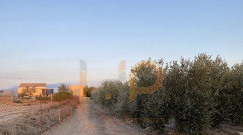 Almería - Альбох - 5900m2