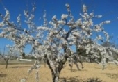 Non-developable land for sale on España, Madrid, ref: TR397829 photo
