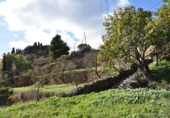 Urban land for sale on España, Calaceite, ref: TR396749 photo