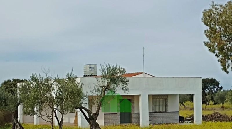 Badajoz - Montijo - 12522m2