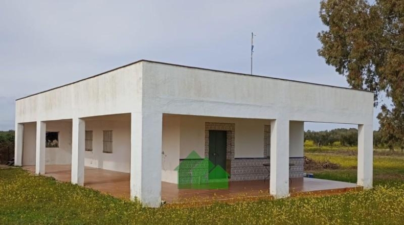 Badajoz - Montijo - 12522m2
