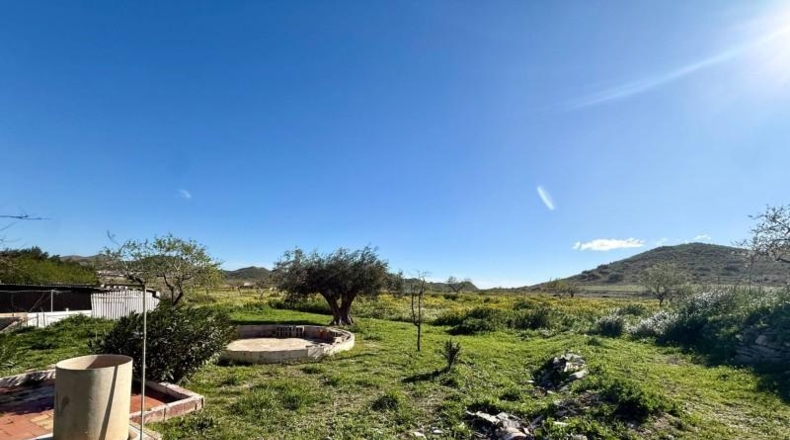 Murcia - Cartagena - 2700m2