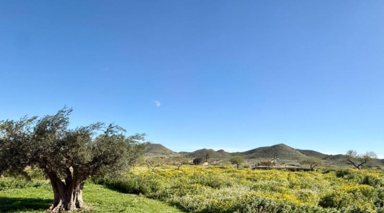 Murcia - Cartagena - 2700m2