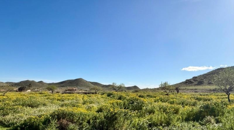 Murcia - Cartagena - 2700m2