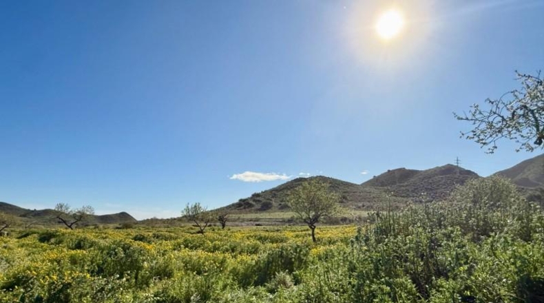Murcia - Cartagena - 2700m2
