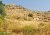 Sòl urbà en venda a la España, Múrcia, ref.: TR397127 foto