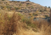 Sòl urbà en venda a la España, Múrcia, ref.: TR397127 foto