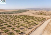 Non-developable land for sale on España, Villa de Otura, ref: TR397135 photo