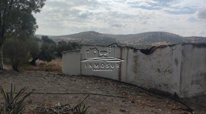 Córdoba - Lucena - 132m2