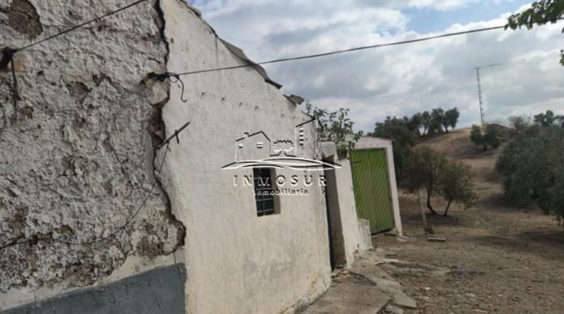 Córdoba - Lucena - 132m2