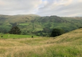 Finca rústica en venda a la España, Saro de Enmedio, ref.: TR398360 foto