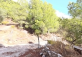 Chalet independiente con terreno en venta en la España, Alozaina, ref: TR398795 foto