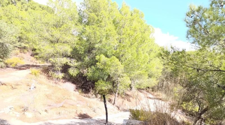 Málaga - Alozaina - 8729m2