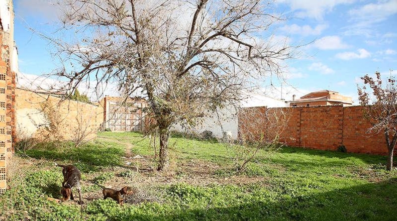 Ciudad Real - Valdepeñas - 560m2