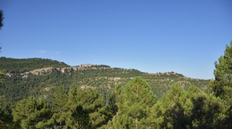 Teruel - Valderrobres - 365663m2