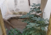 Дом с участком на продажу в городе Benamejí Фото